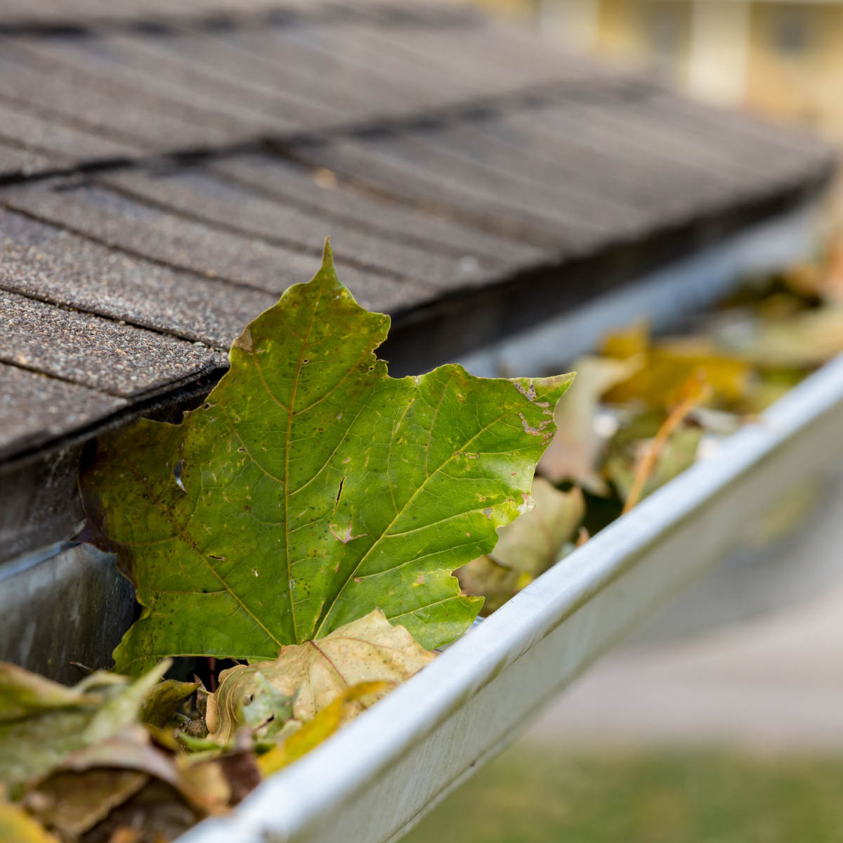Spring is a good time for your Dallas roof replacement.