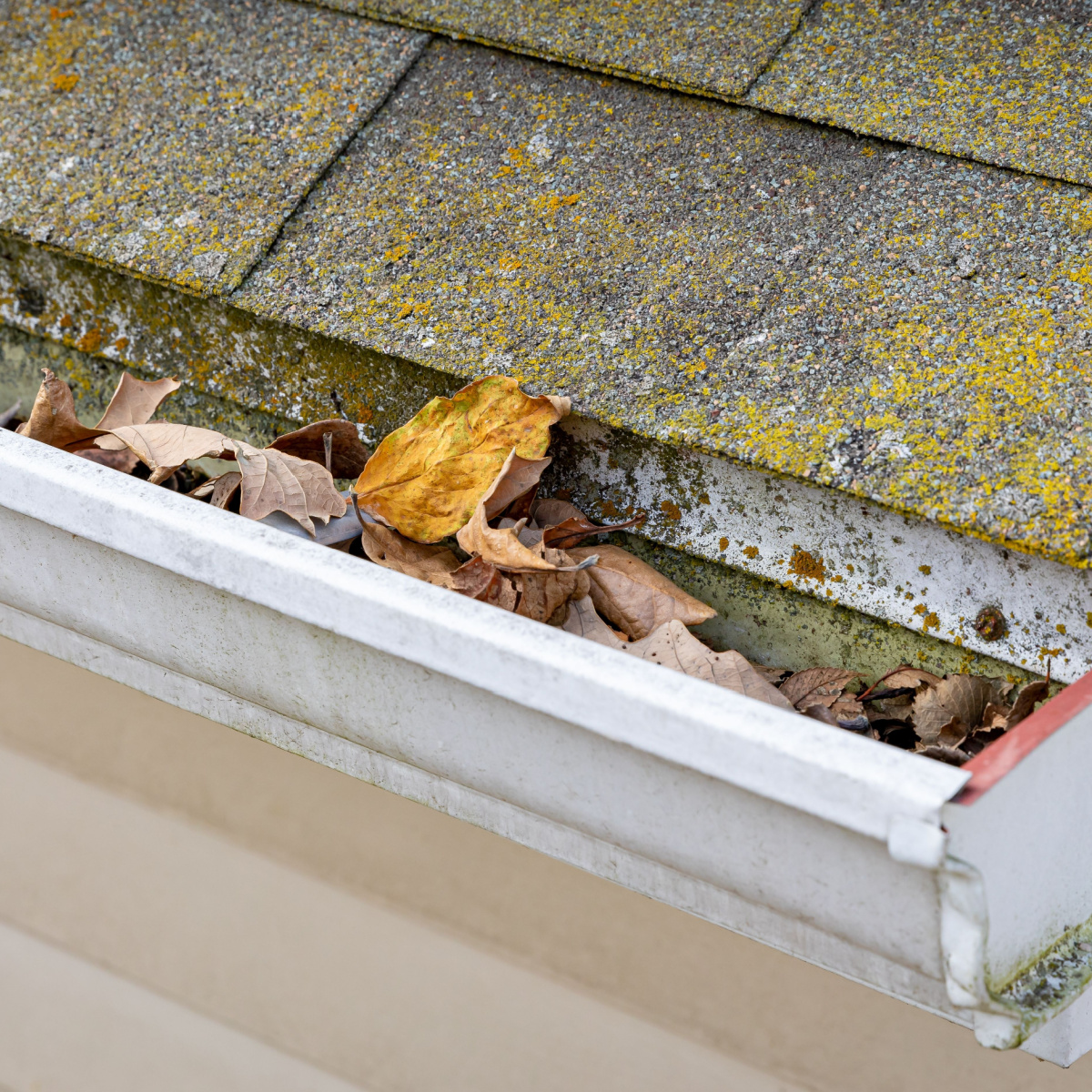 Seeing signs of summer Dallas roof damage? Get it inspected.