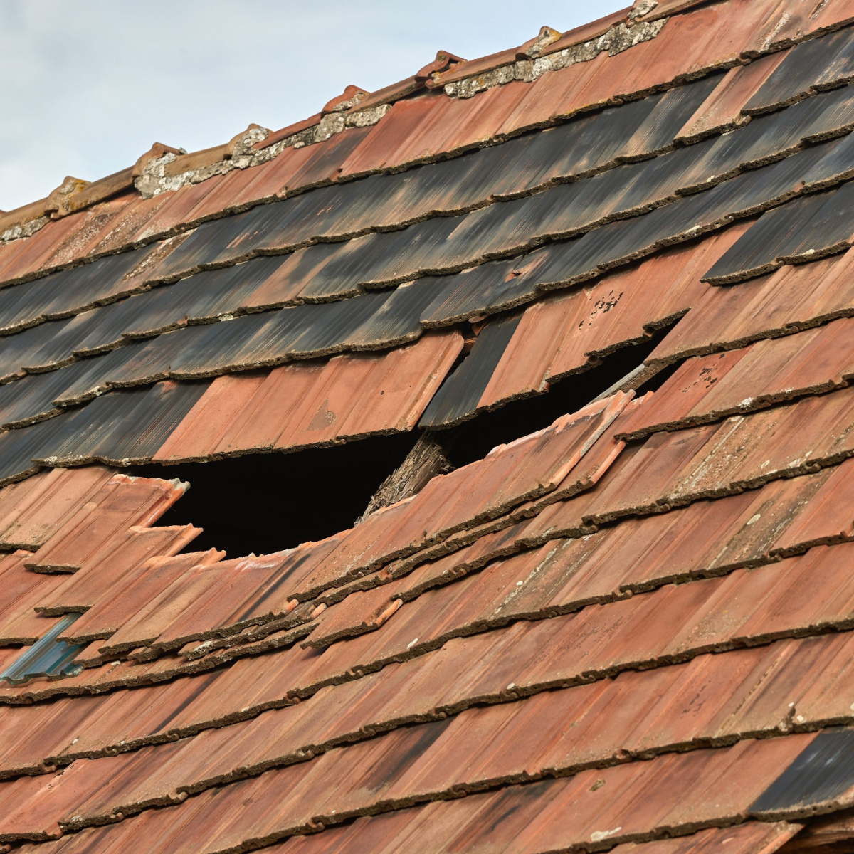 Spot these types of roof damage? An immediate Dallas roof replacement due!